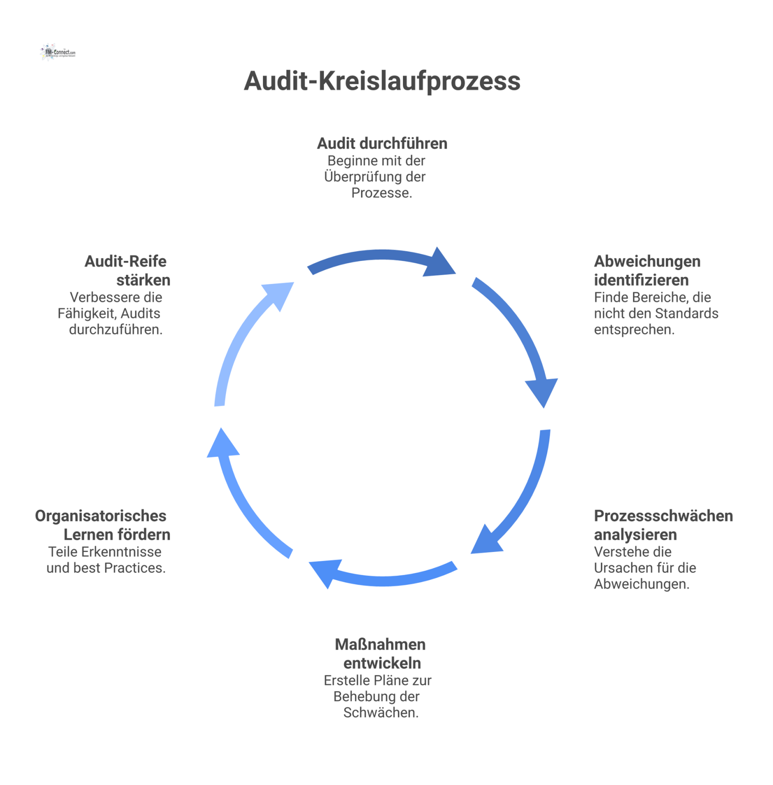 Ein Kreislaufdiagramm, das den Prozess vom Audit über Abweichungen und Maßnahmen bis zur kontinuierlichen Verbesserung und gestärkten Audit-Reife darstellt. 