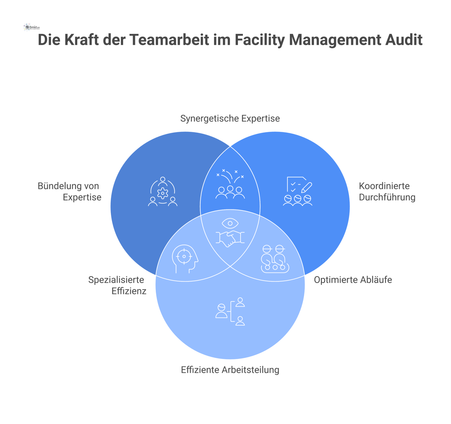 Zentrales Diagramm des Auditteams mit Pfeilen zu den Hauptfunktionen: Bündelung von Expertise, koordinierte Durchführung, Arbeitsteilung und Stärkung der Verlässlichkeit.